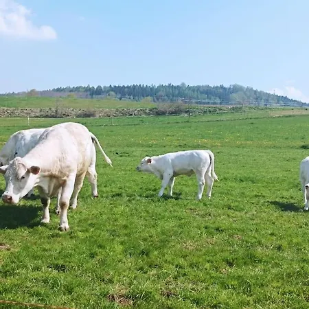 Hotel Perle Am Fusse Der