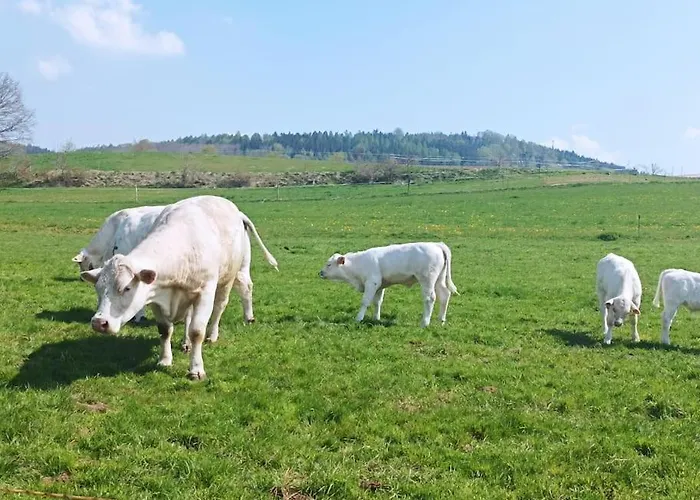 Отель Perle Am Fusse Der